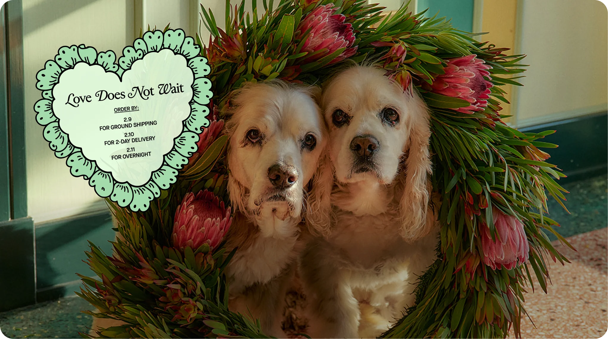 Pleasure From The Wild Garden